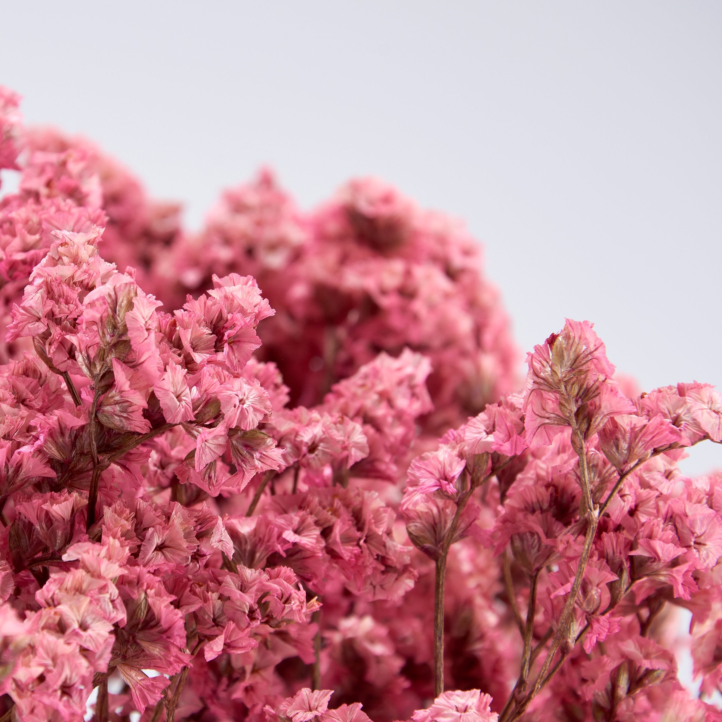 Elegant Pink Dried Flower Bouquet - Natural Long-Lasting Foliage for Home Decor