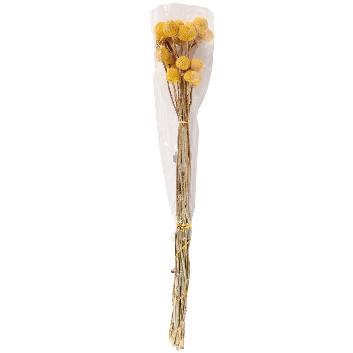 Vibrant Yellow Billy Buttons Dried Flower Bouquet, Natural Foliage Decor, 23.5-Inch Tall