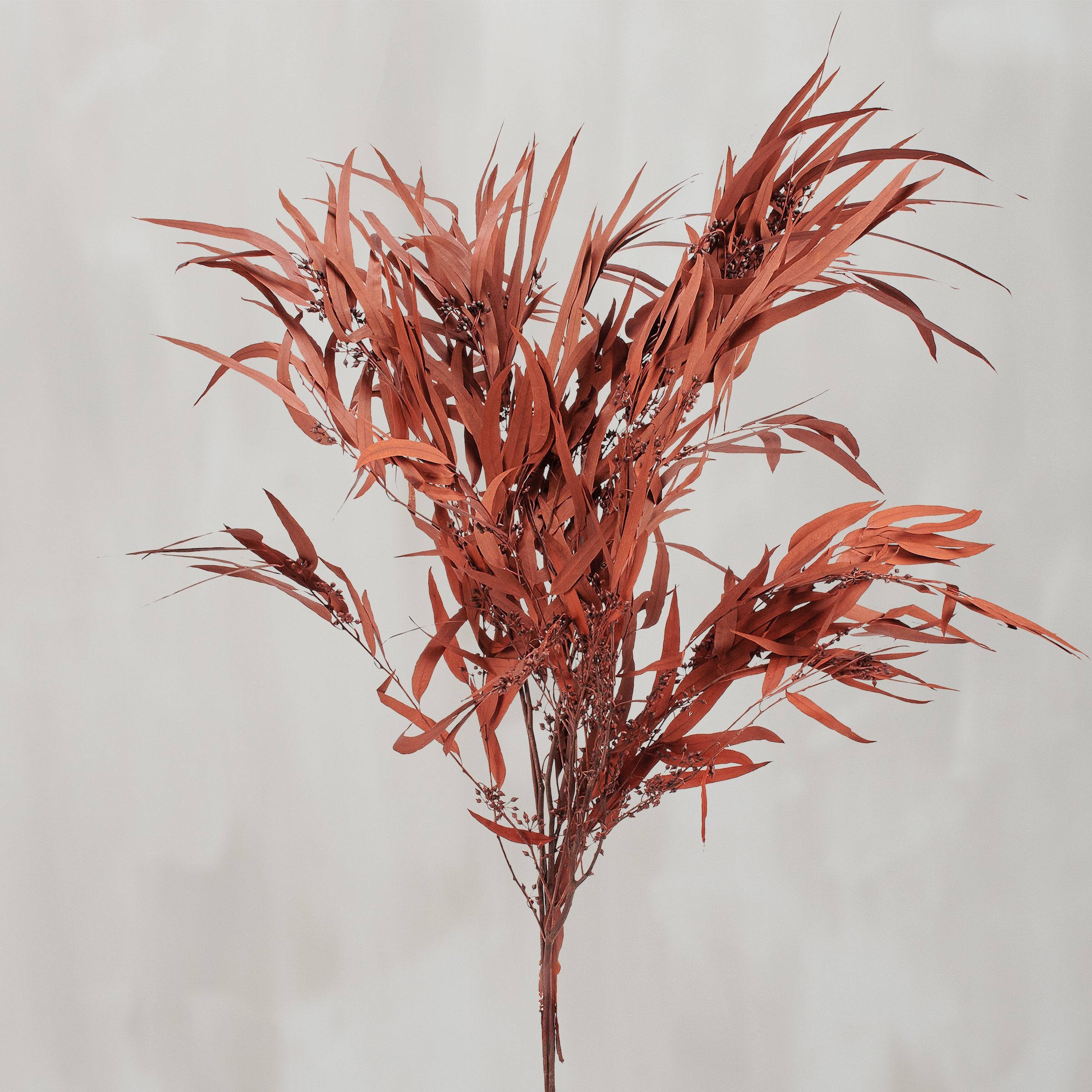 Vibrant Rust Eucalyptus Dried Botanical Bouquet - Long-Lasting Natural Foliage Decor
