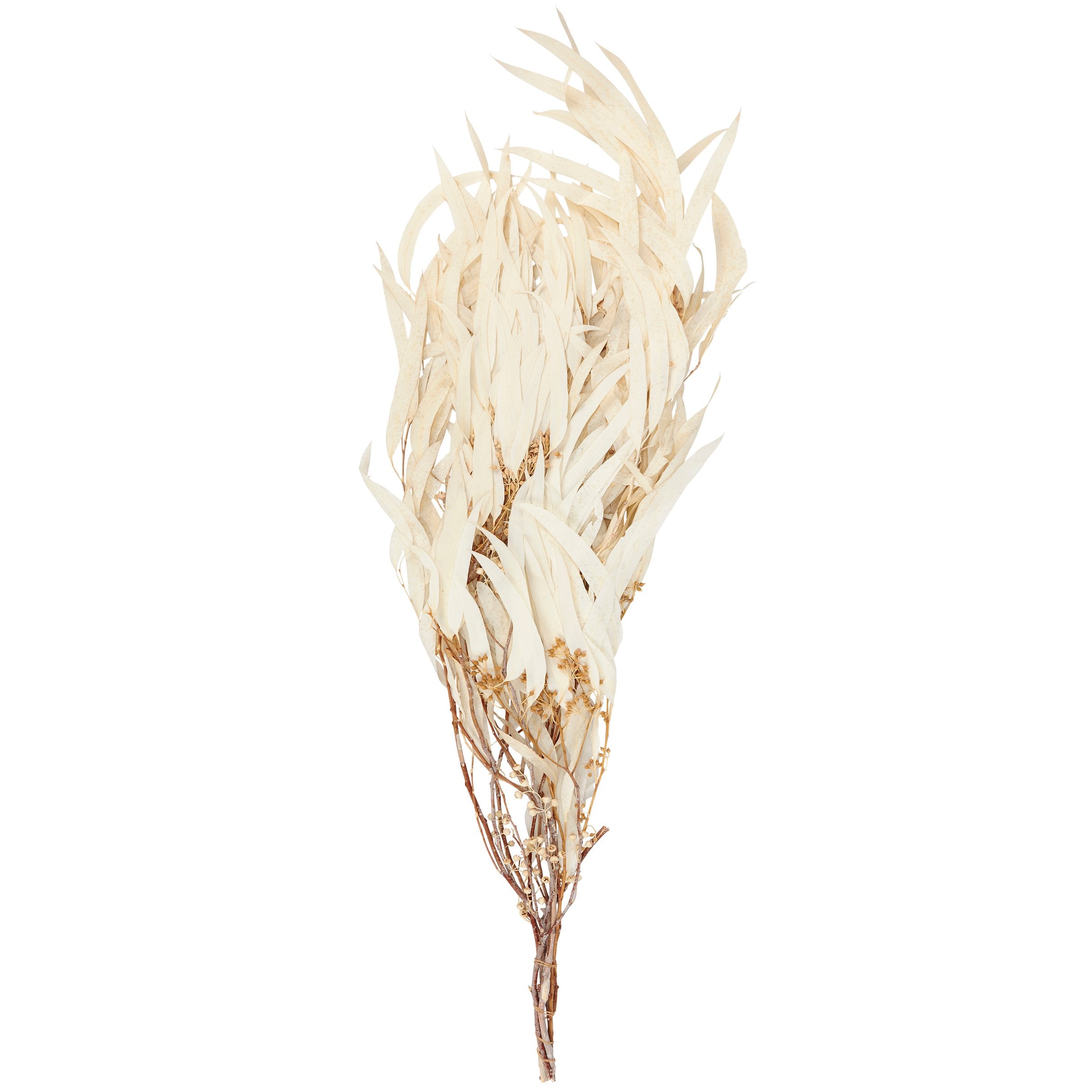 Elegant Cream Dried Eucalyptus Bouquet for Long-Lasting Natural Home Decor