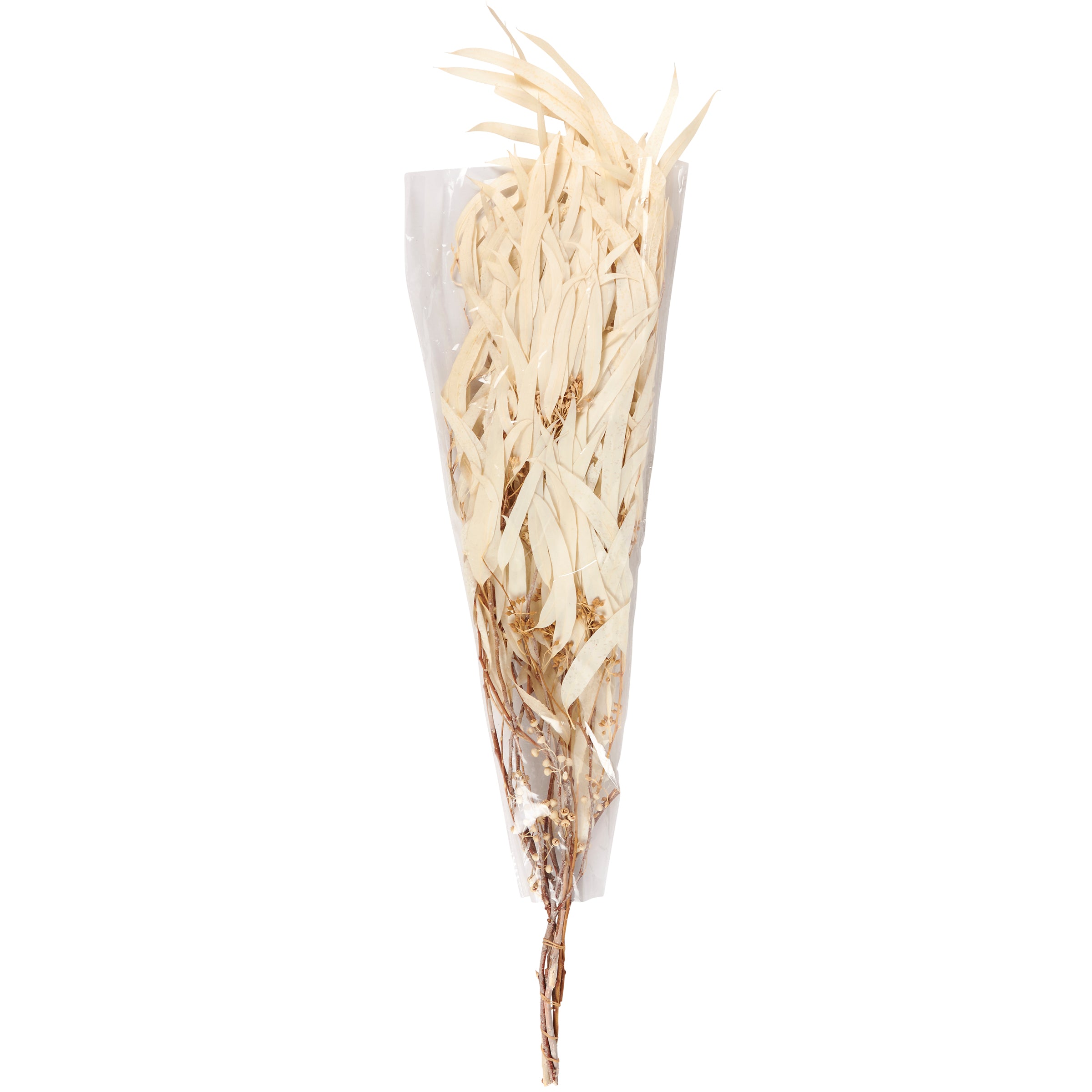 Elegant Cream Dried Eucalyptus Bouquet for Long-Lasting Natural Home Decor