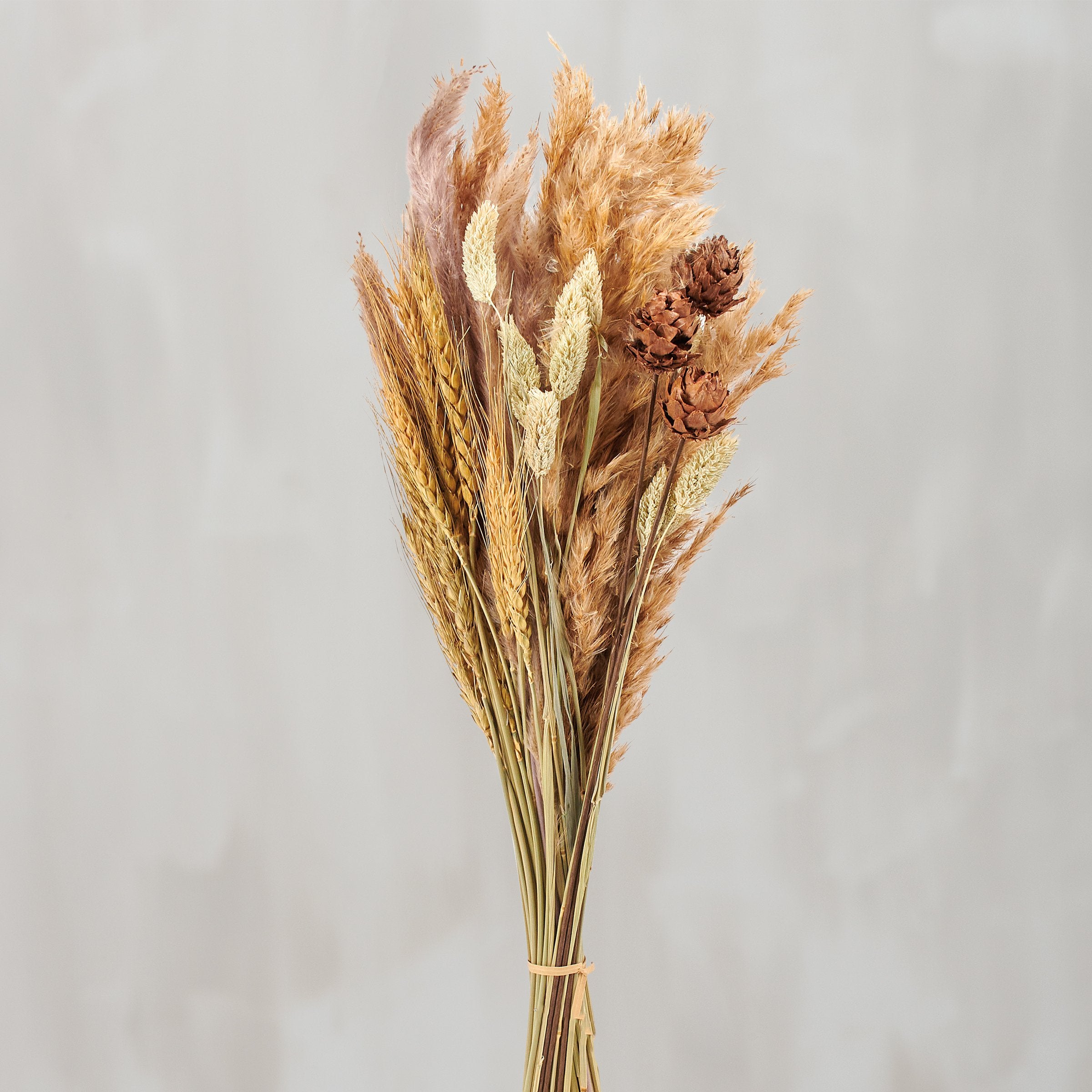 Elegant Natural Mixed Reed Dried Flower Bouquet - Long Lasting Home Decor