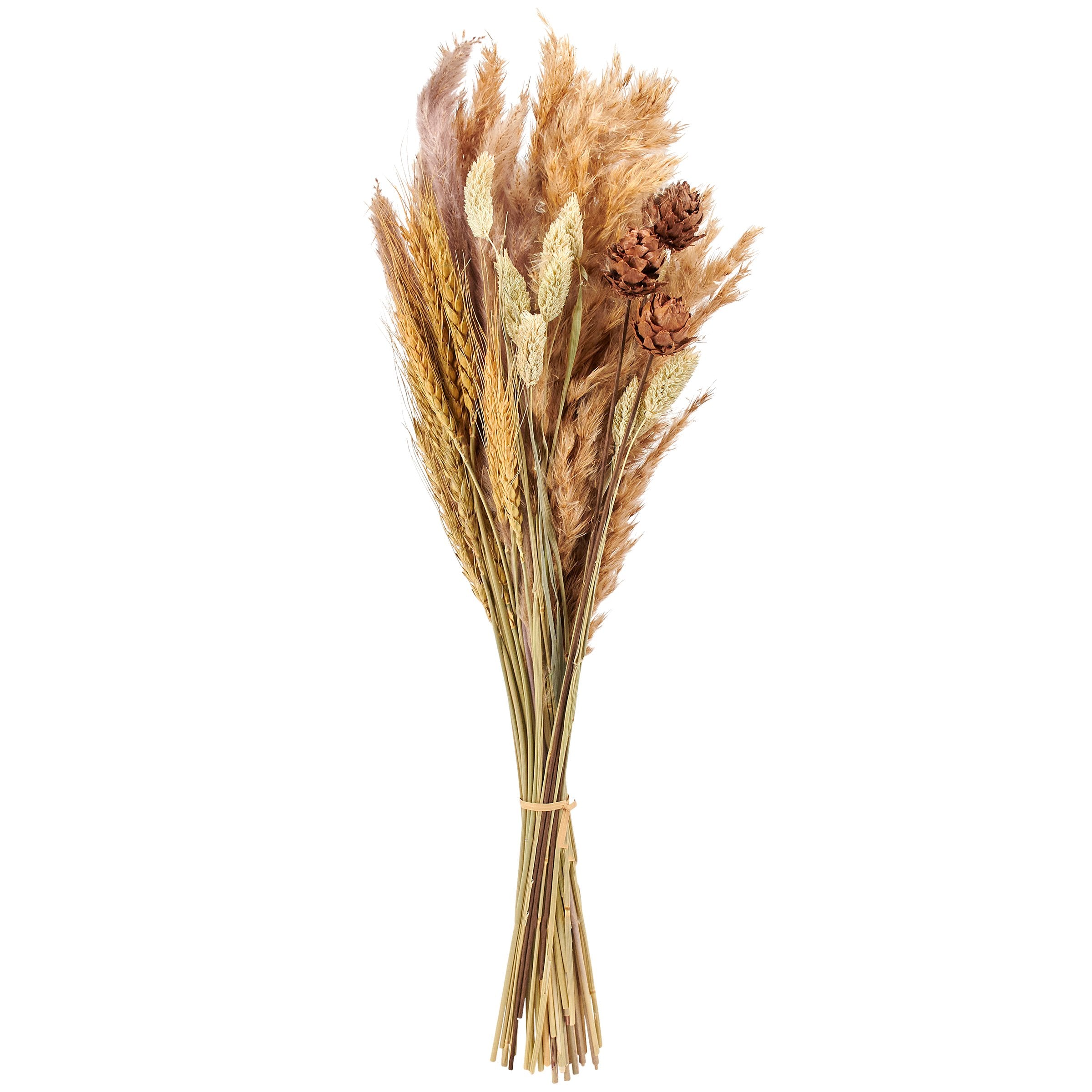 Elegant Natural Mixed Reed Dried Flower Bouquet - Long Lasting Home Decor