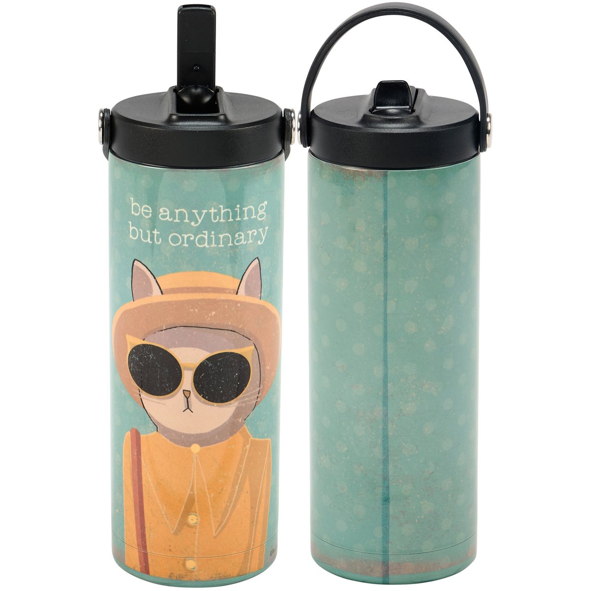 Unique Insulated Stainless Steel Sport Bottle with Cat Design, 20oz, Straw & Strap