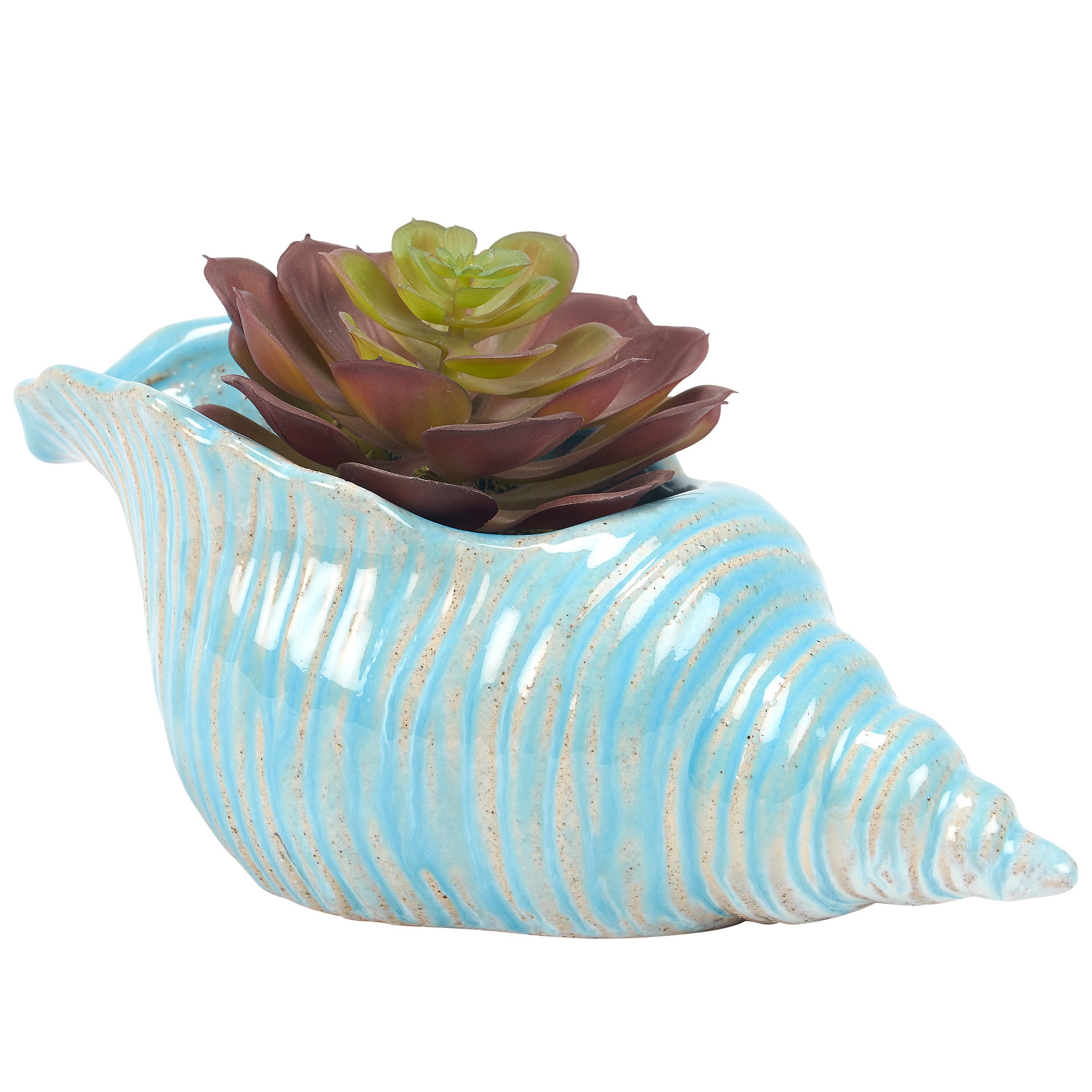 Ceramic Beach Blue Conch Shell Planter for Succulents and Coastal Home Decor