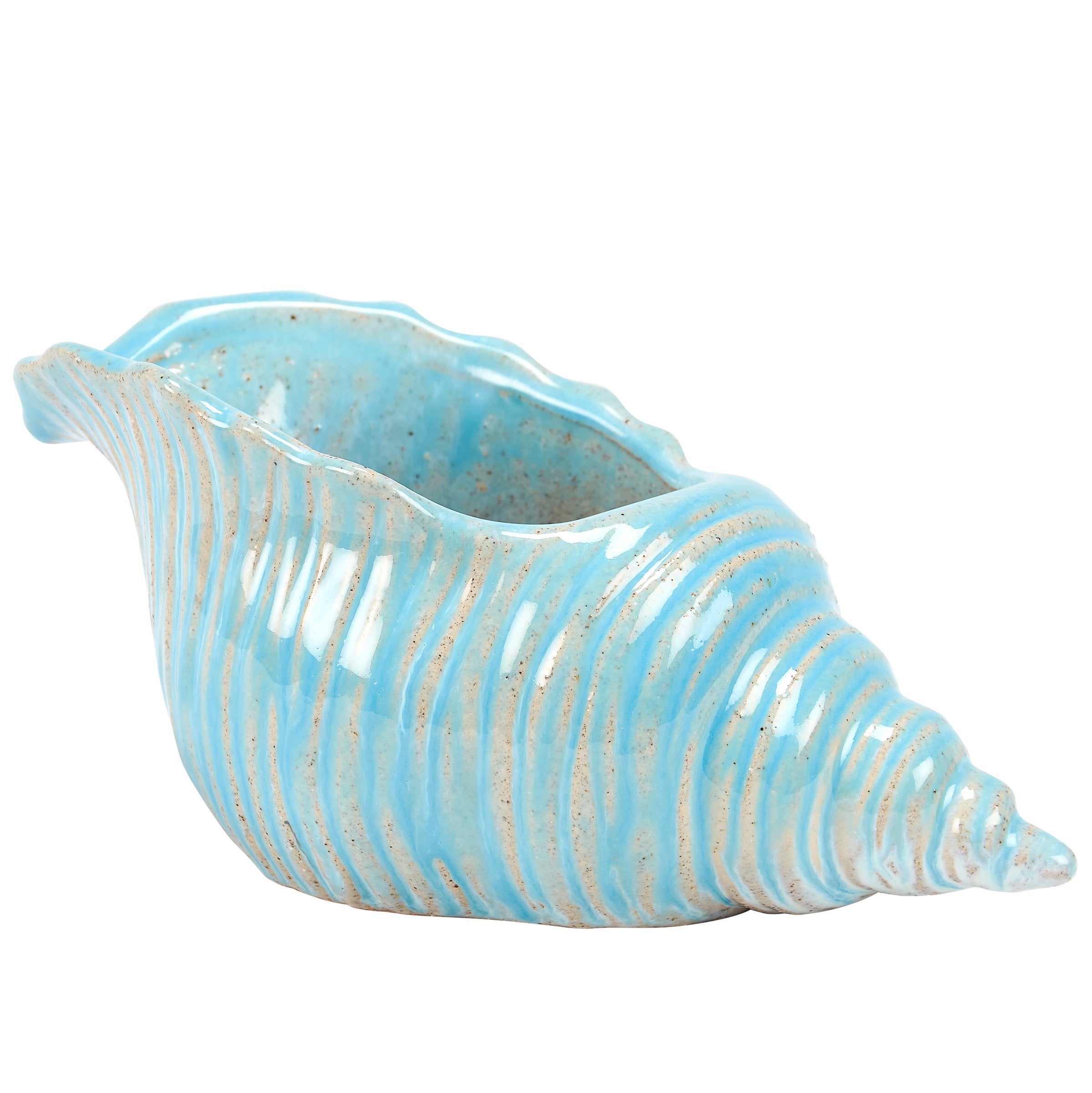 Ceramic Beach Blue Conch Shell Planter for Succulents and Coastal Home Decor