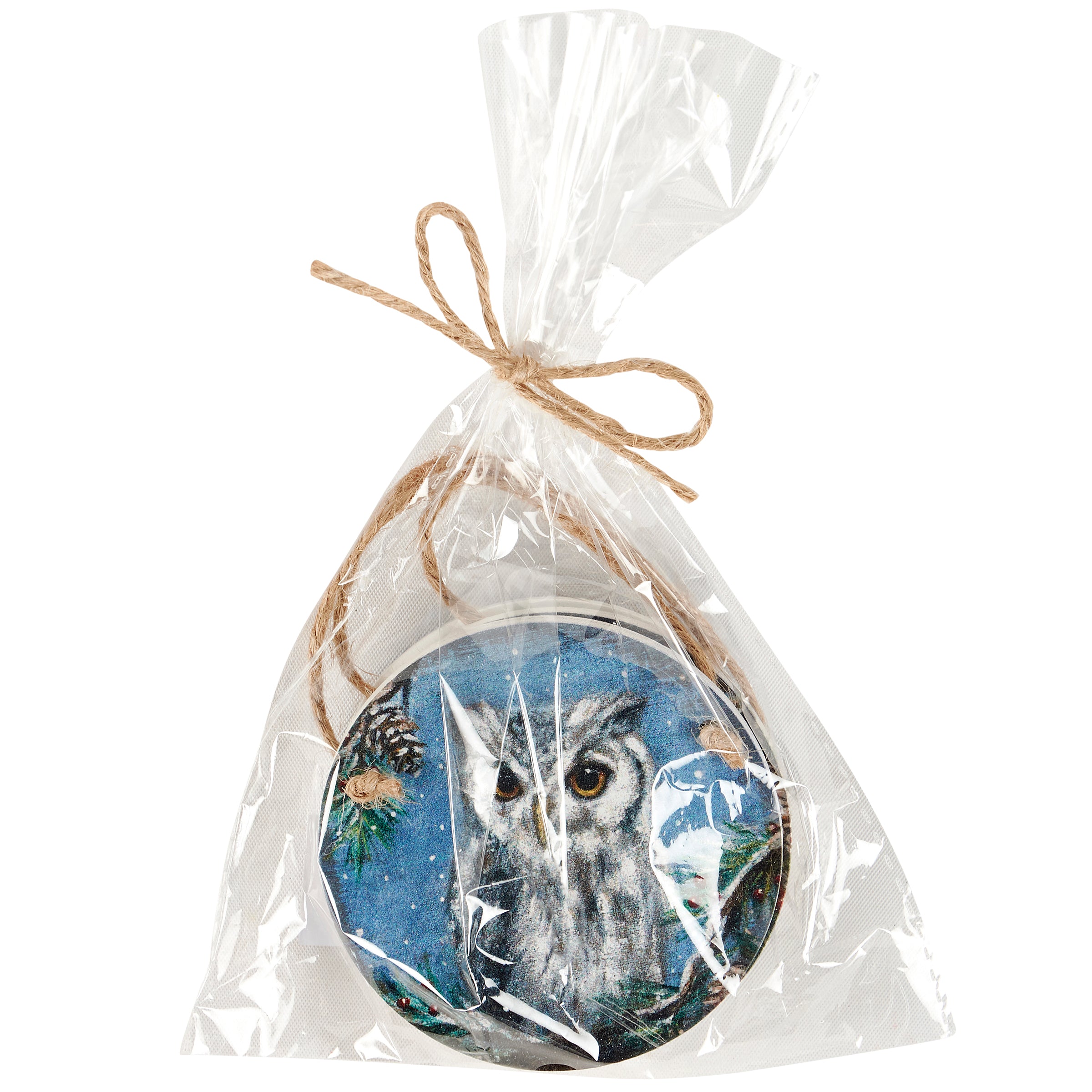 Charming Snowy Woodland Animal Wooden Ornaments Set of 3 Christmas Decor