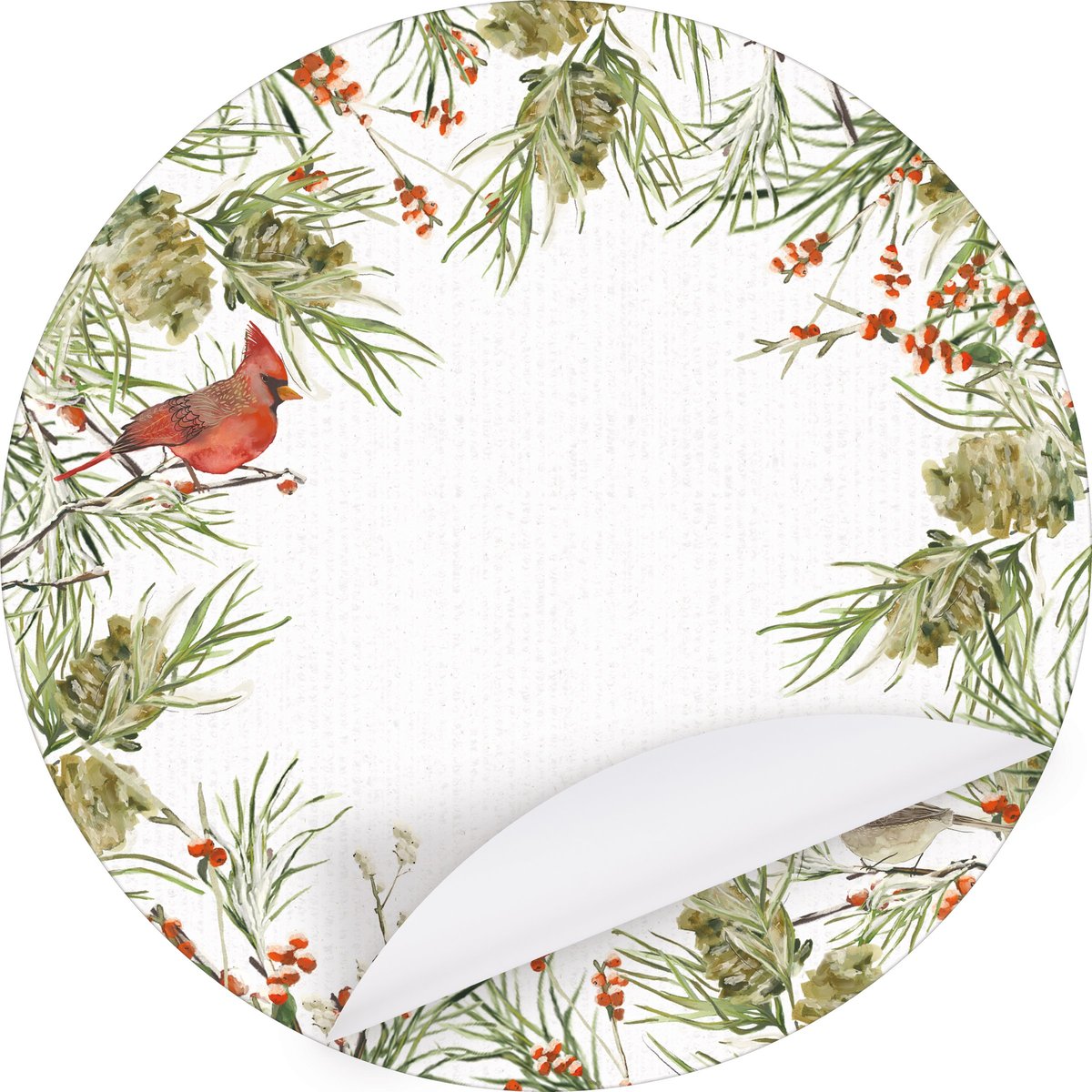 Charming Winter Birds Watercolor Paper Placemats - Festive Holiday Tabletop Set