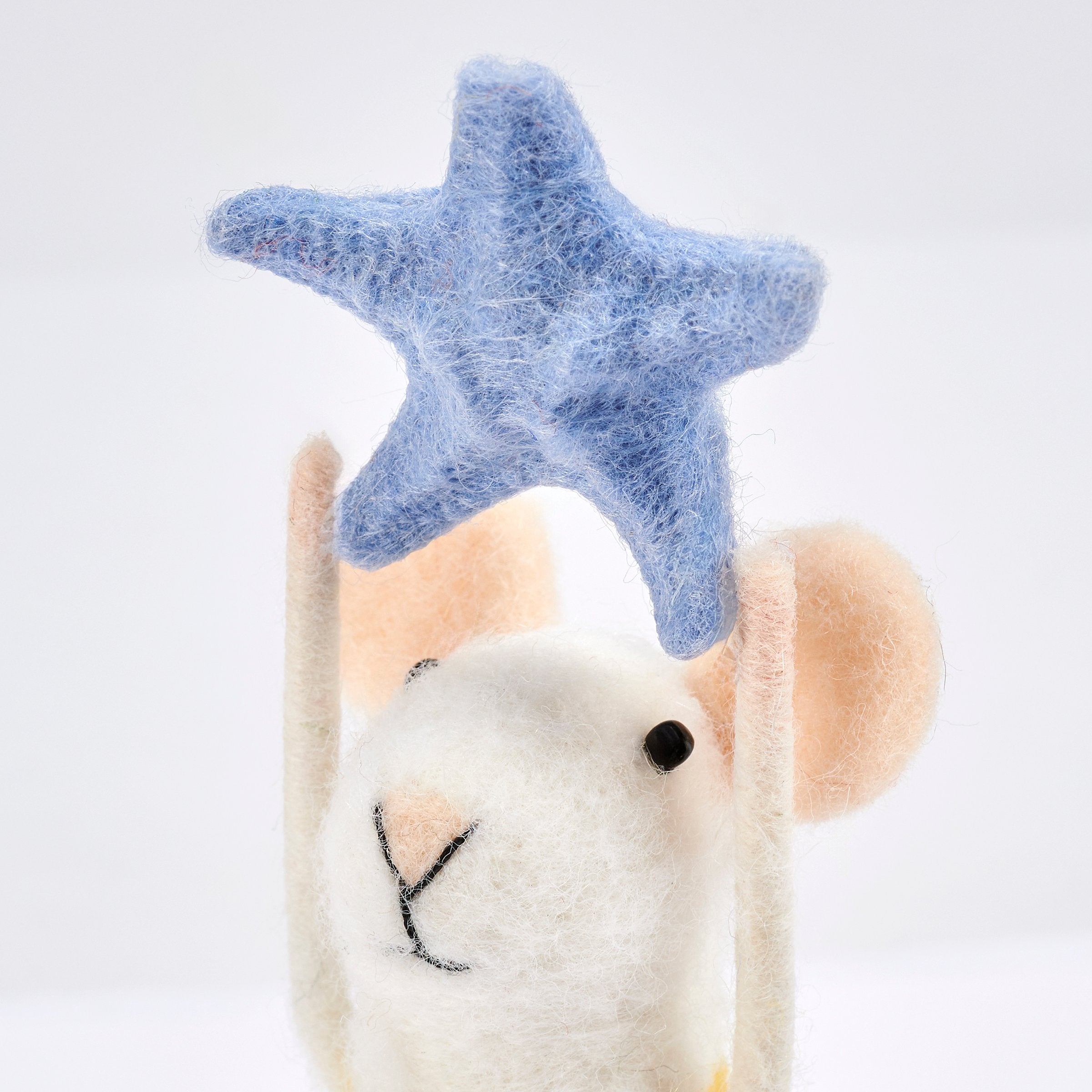 Whimsical Coastal Home Decor Accents