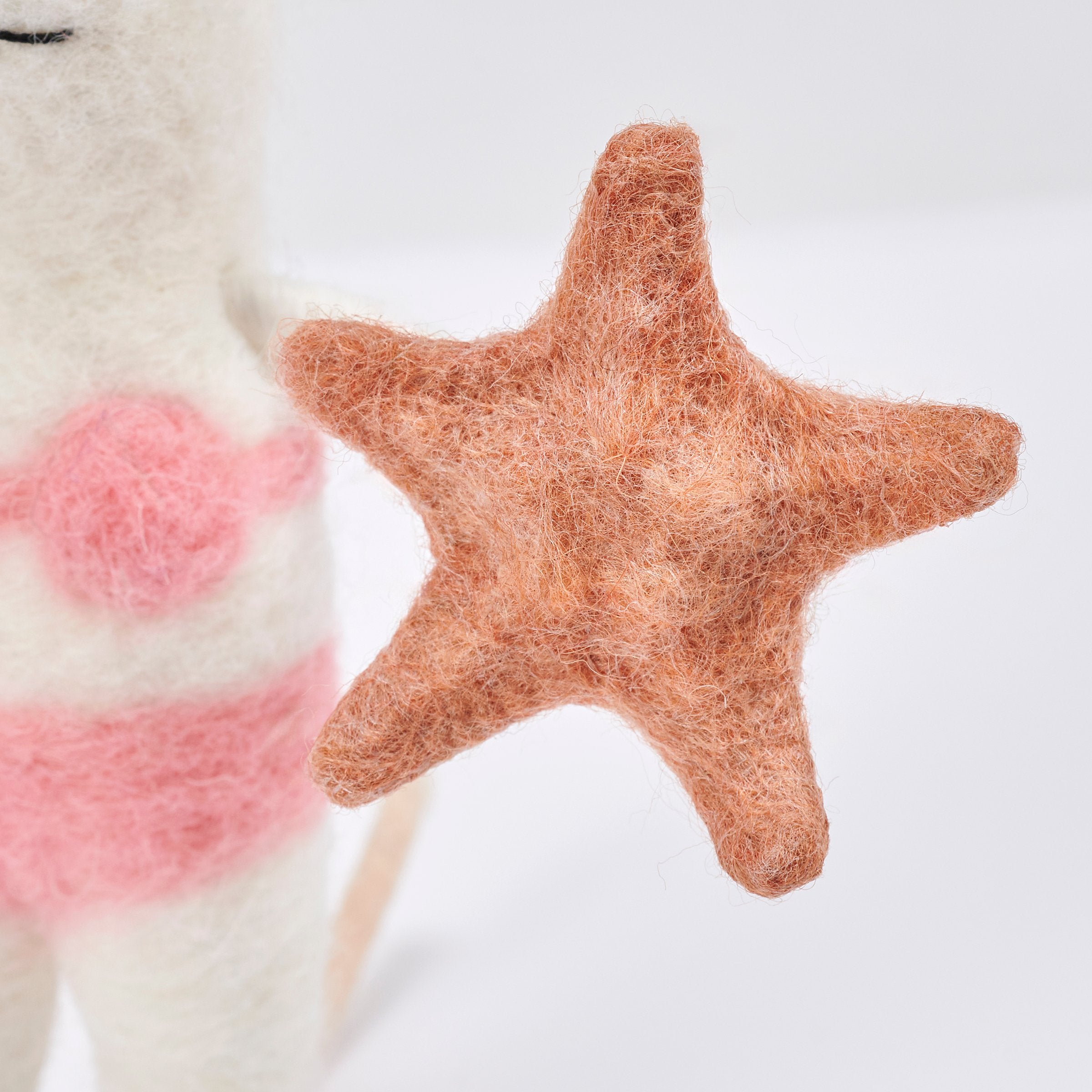 Whimsical Coastal Home Decor Accents