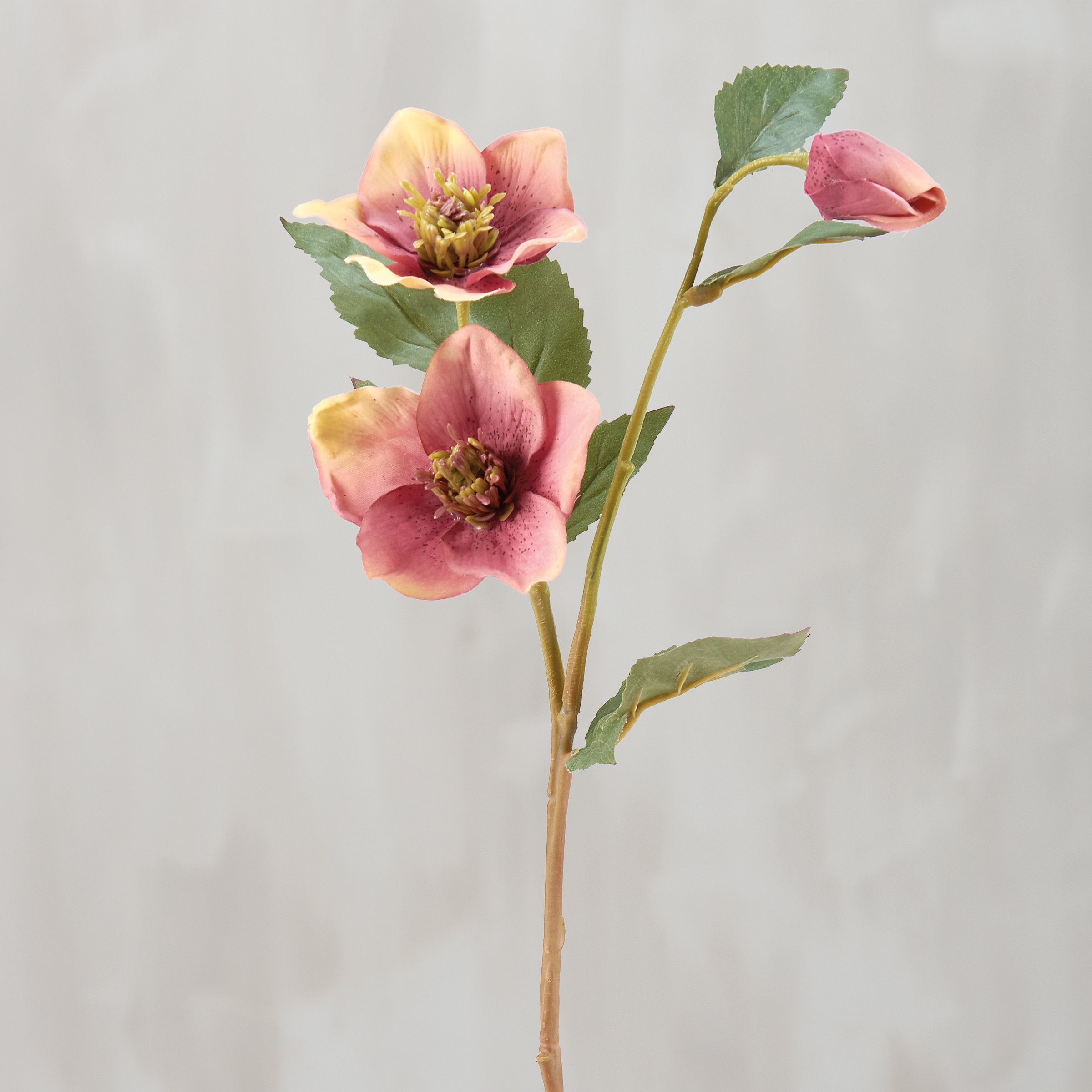 Vibrant Pink Hellebore Faux Floral Pick, Lifelike Greenery, 22-Inch Artificial Flower