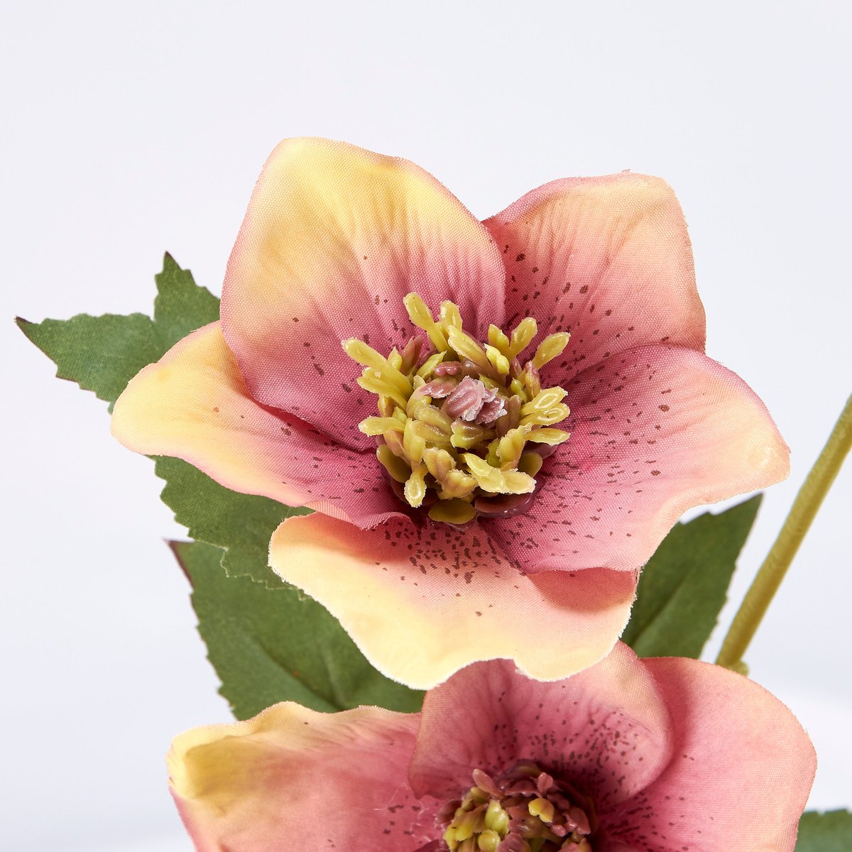 Vibrant Pink Hellebore Faux Floral Pick, Lifelike Greenery, 22-Inch Artificial Flower