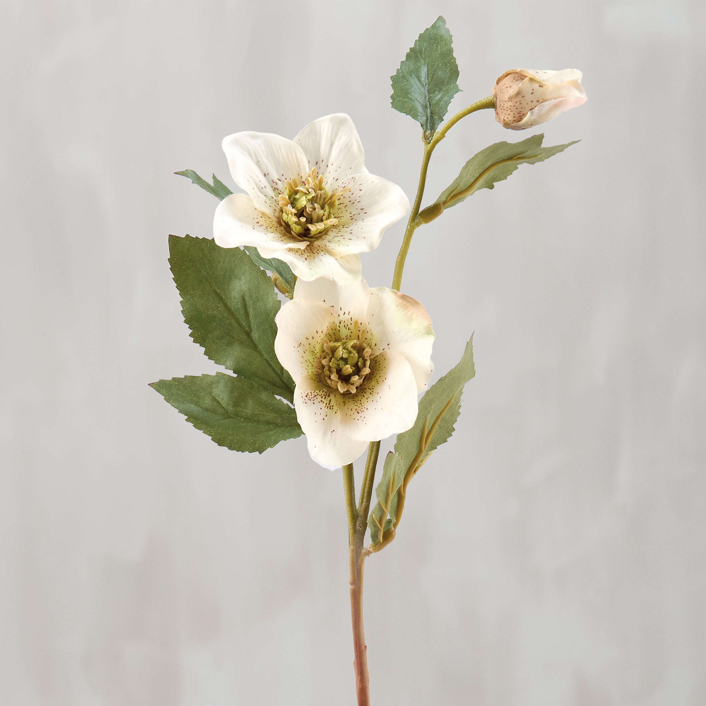 Realistic White Hellebore Floral Pick - Faux Botanical Stem for Home Decor