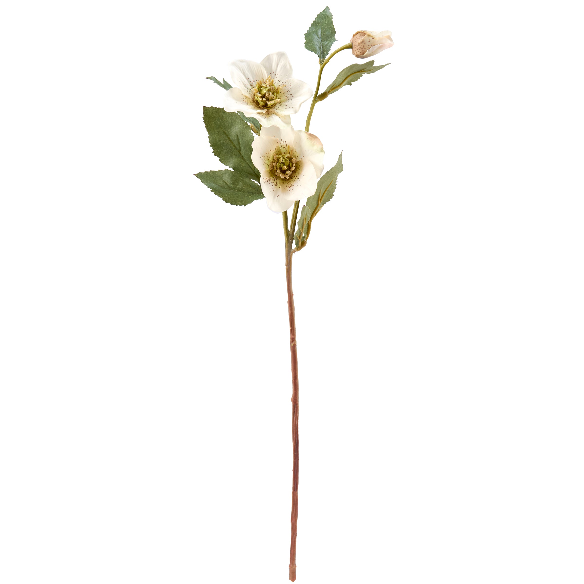 Realistic White Hellebore Floral Pick - Faux Botanical Stem for Home Decor