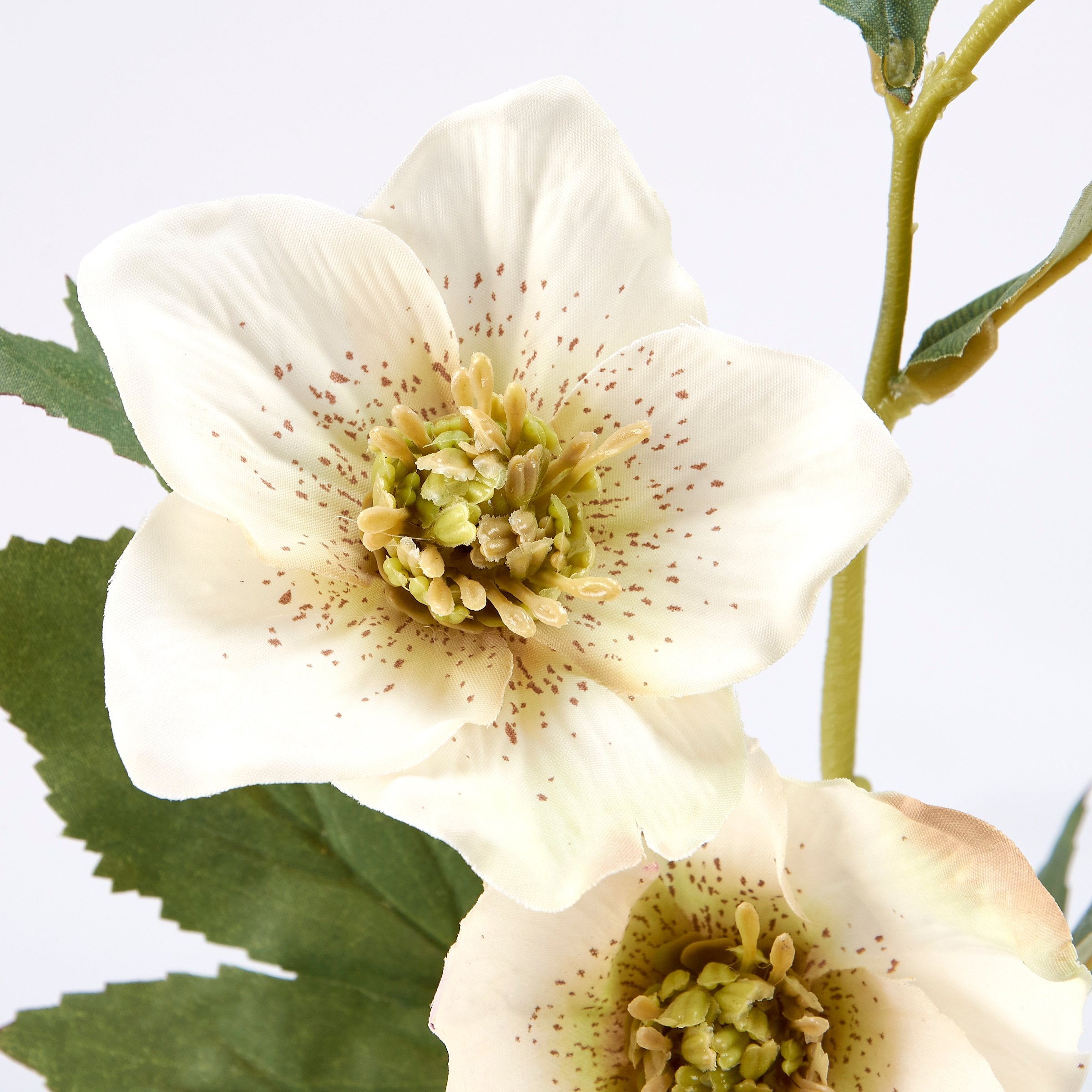 Realistic White Hellebore Floral Pick - Faux Botanical Stem for Home Decor