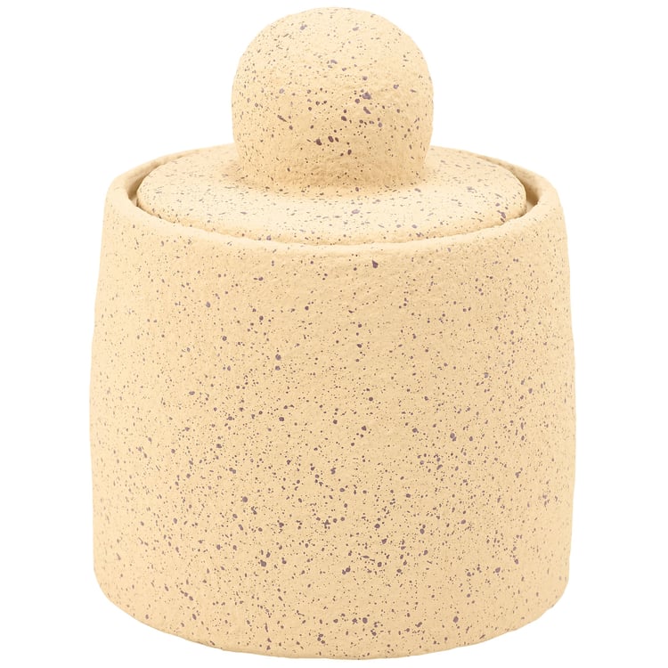 Rustic Speckled Cement Jar with Lid, Large Western Home Accent