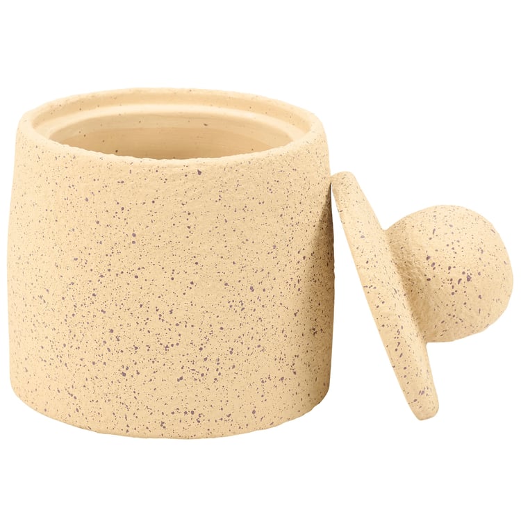 Rustic Speckled Cement Jar with Lid, Large Western Home Accent