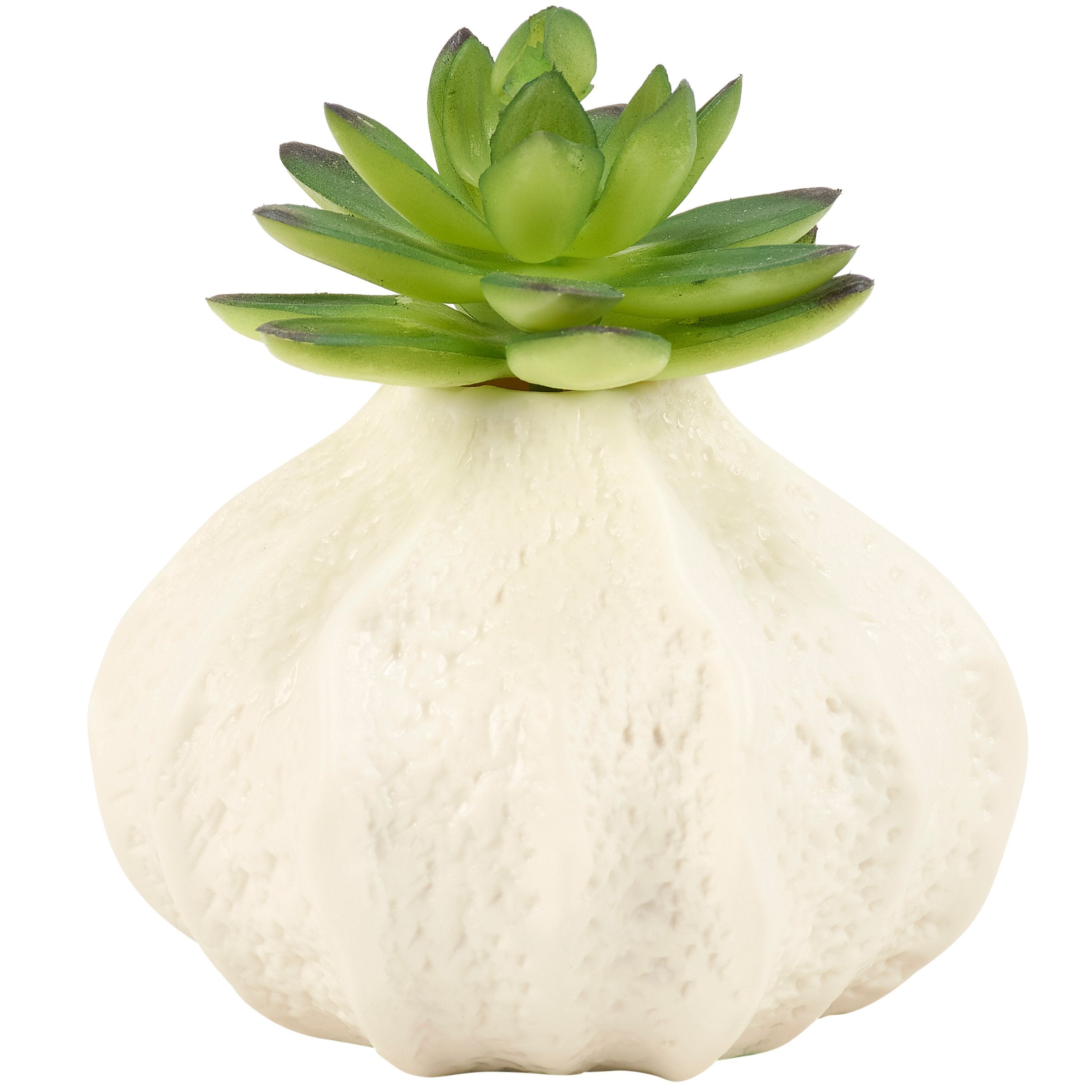 Charming Small Sea Urchin Porcelain Vase Cream Finish Coastal Beach Home Decor