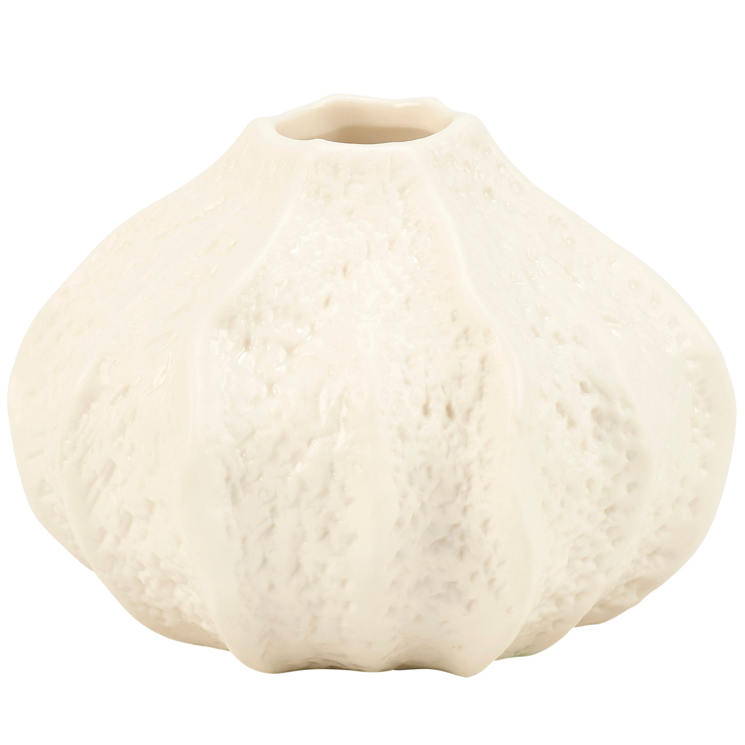 Charming Small Sea Urchin Porcelain Vase Cream Finish Coastal Beach Home Decor