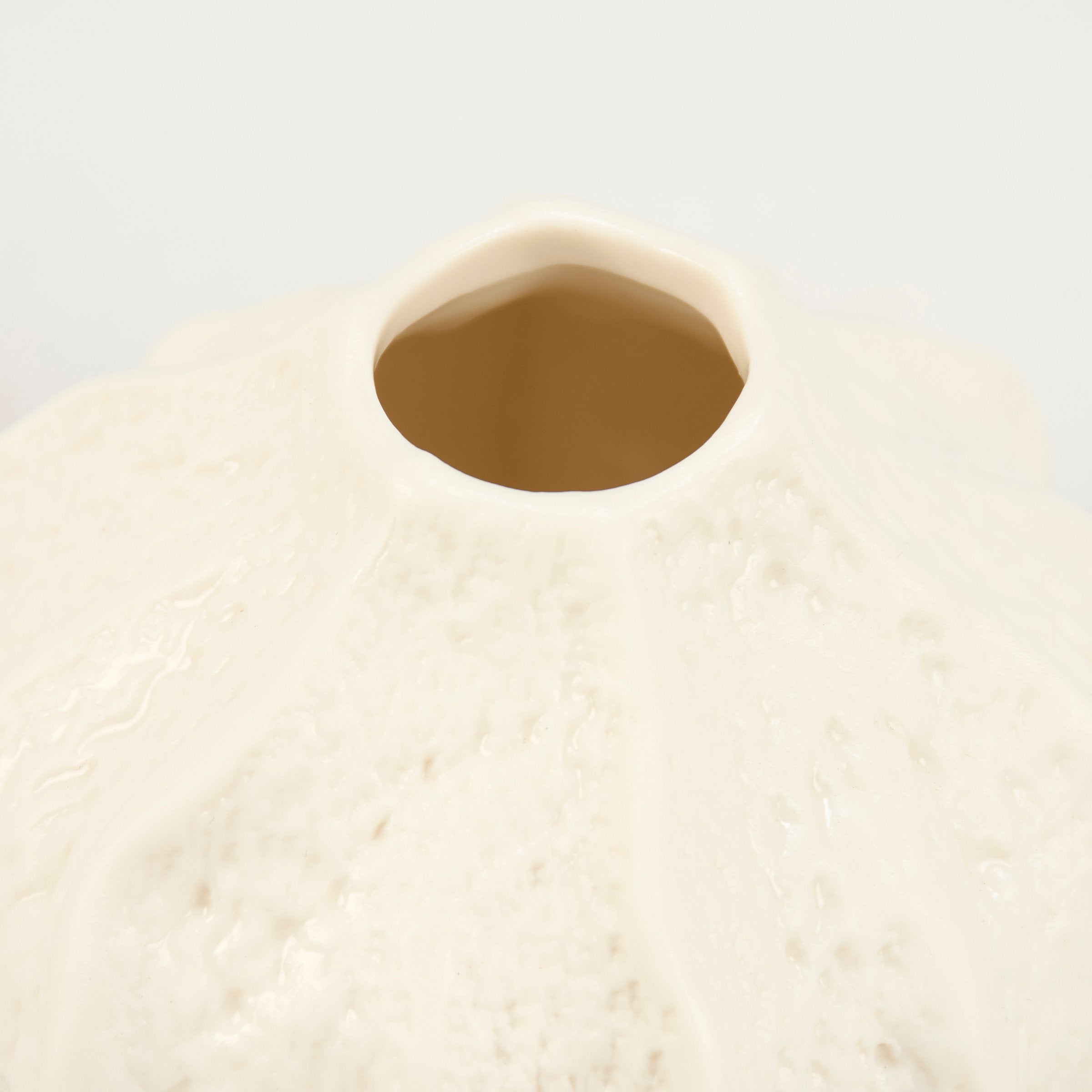 Charming Small Sea Urchin Porcelain Vase Cream Finish Coastal Beach Home Decor