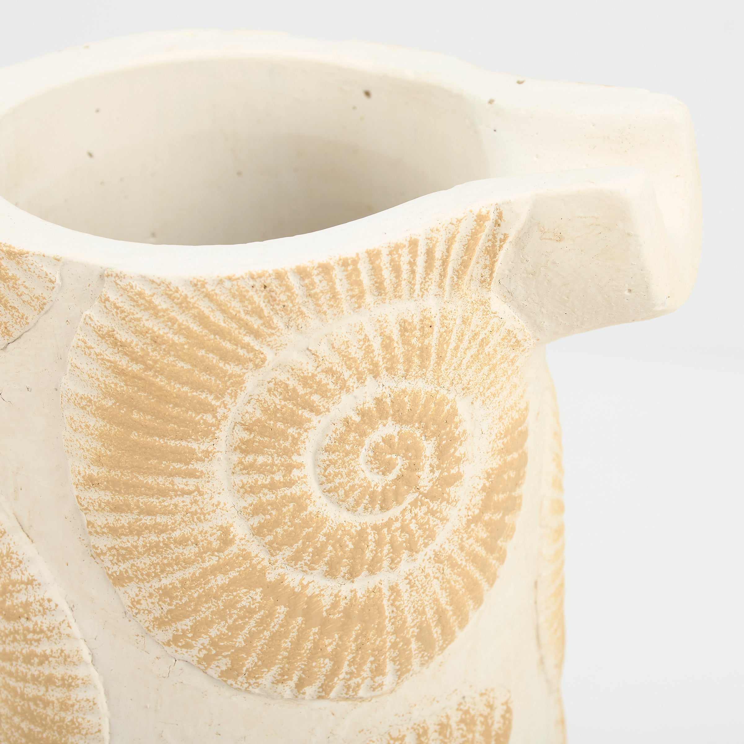 Charming Embossed Nautilus Shell Cement Pitcher for Beach-Themed Decor