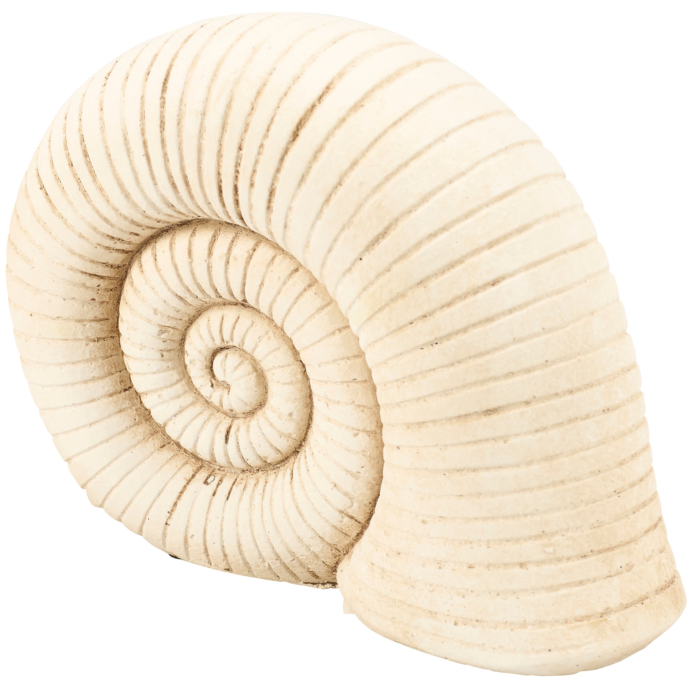 Decorative Cement Nautilus Shell Sitter - Coastal Beach Home Accent Decor