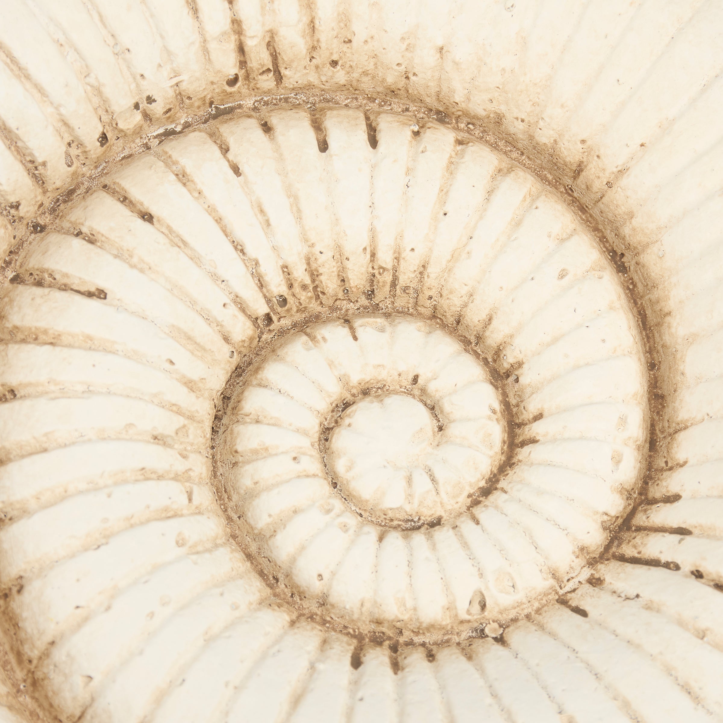 Decorative Cement Nautilus Shell Sitter - Coastal Beach Home Accent Decor