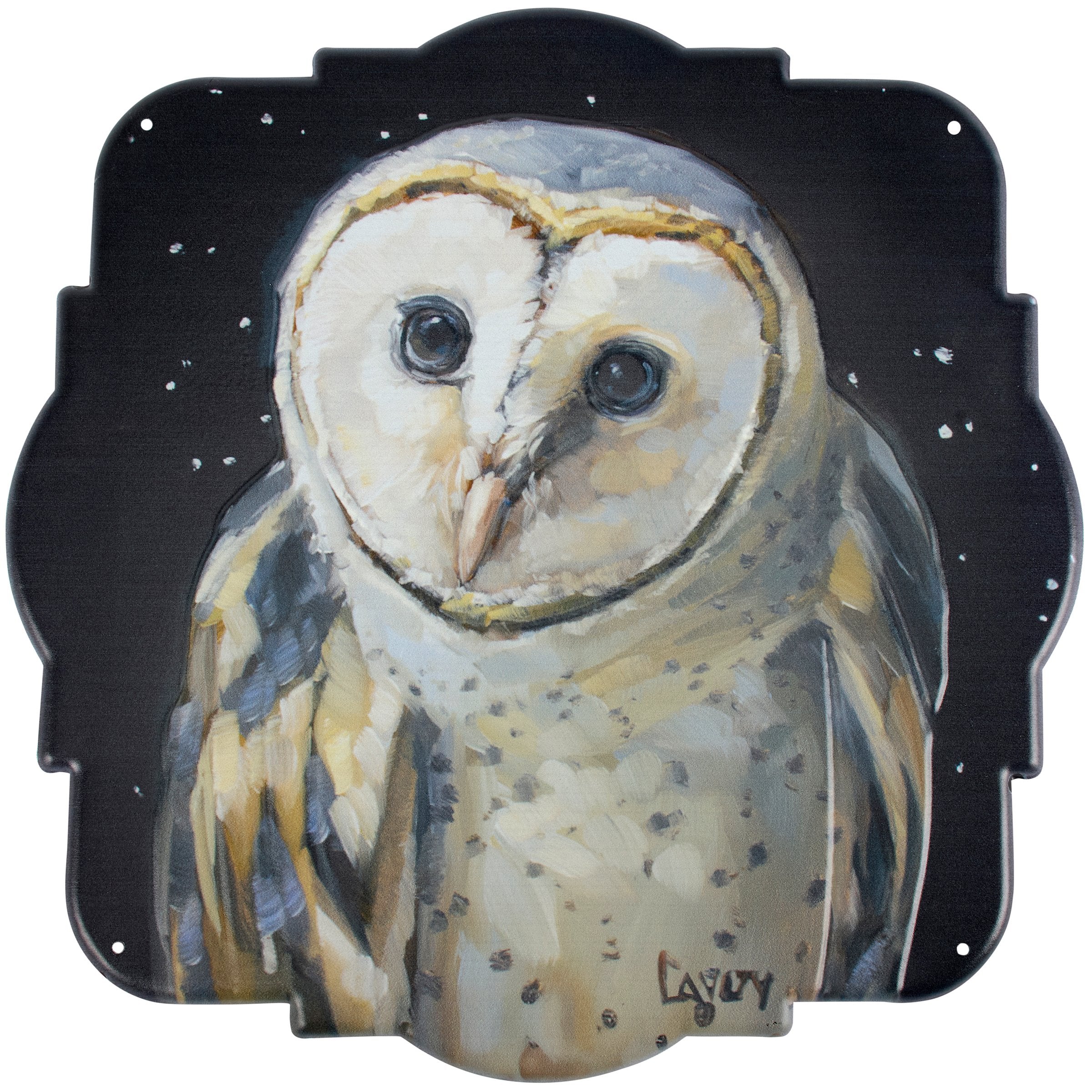 Moody Hand-Painted Barn Owl Metal Wall Decor - Dark Academia Home Accent Piece
