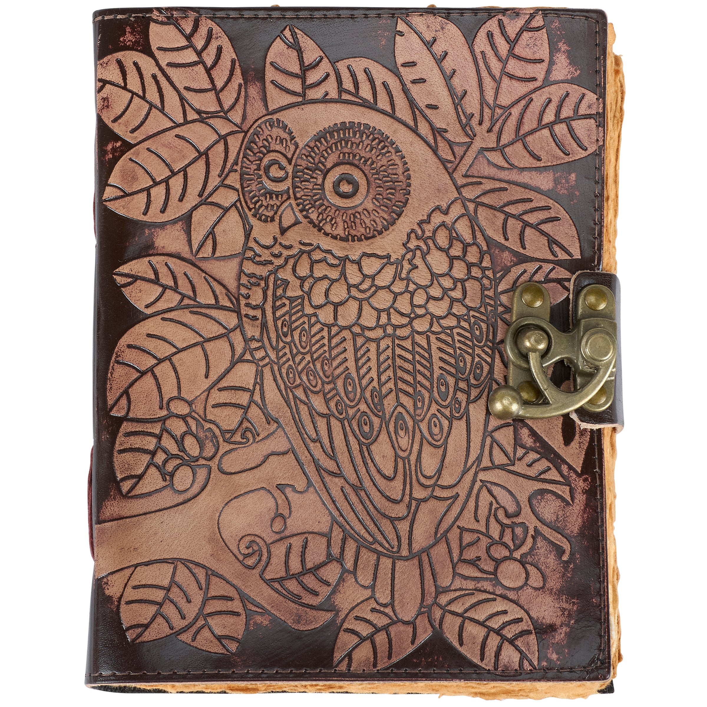 Enchanted Night Owl Embossed Leather Journal with Antique Clasp, Dark Academia Notebook