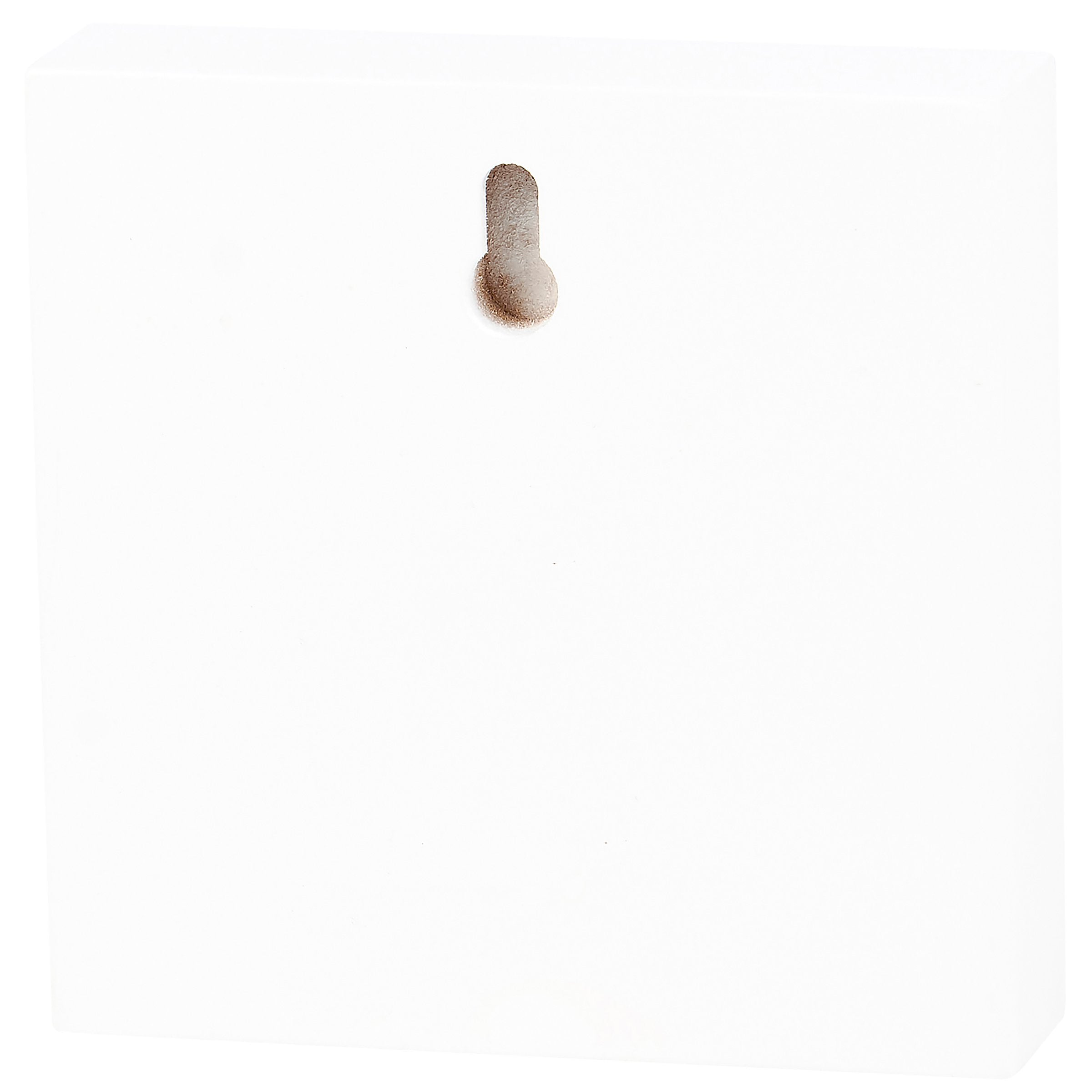 Playful Wooden Block Sign: "Have Fun - Don't Do Stupid Stuff" Home Decor