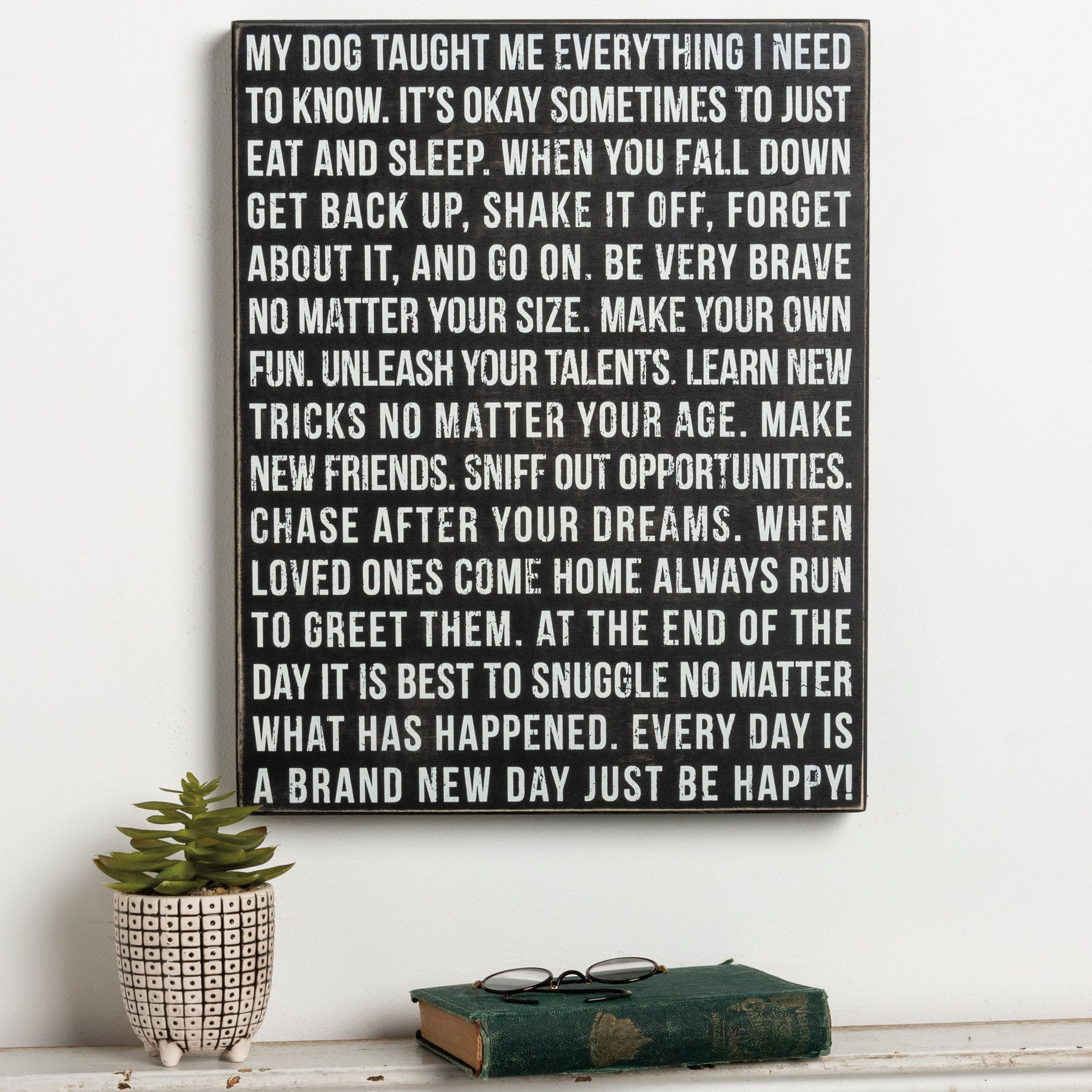 Inspirational Dog Taught Me Everything Wooden Box Sign for Pet Home Decor