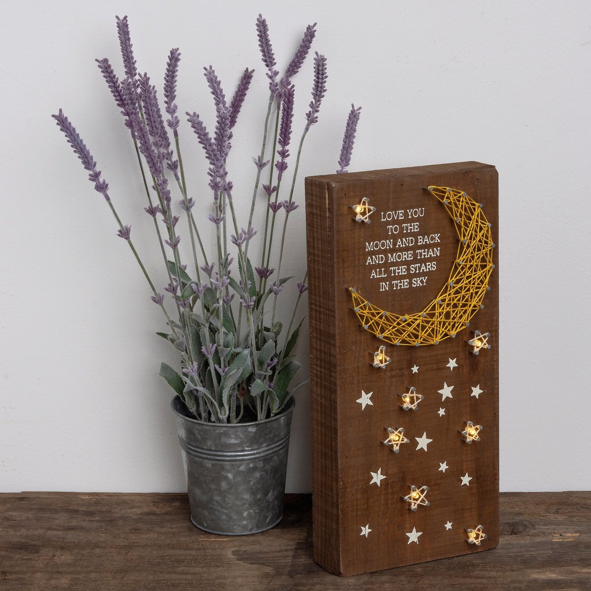 Lighted 'Love You Moon and Back' String Art Box Sign with Timer