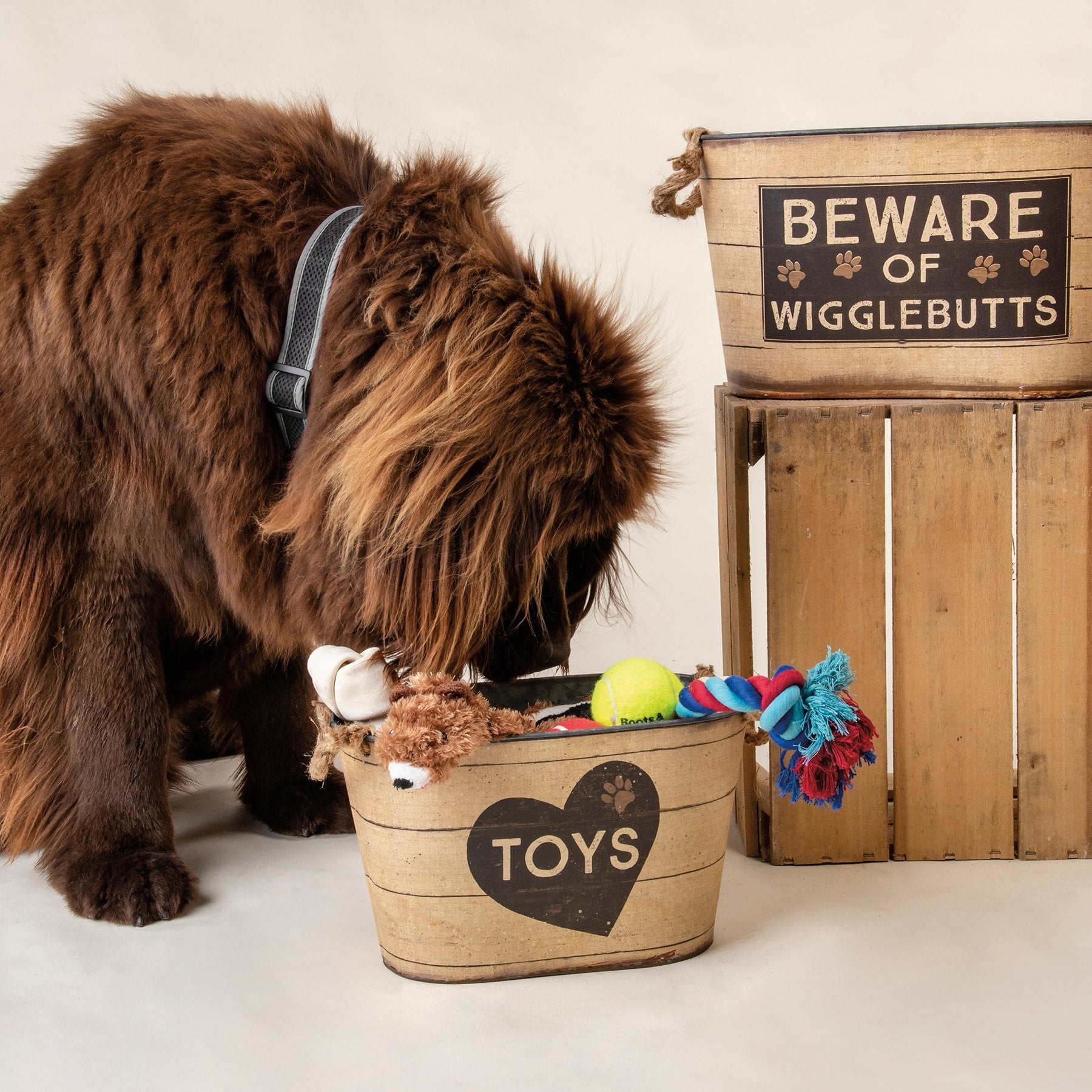 Playful 'Toys' & 'Beware of Wigglebutts' Decorative Tin Storage Bins Set