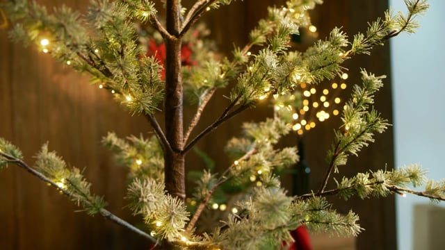 4-Foot Lighted Fall Maple Tree, Indoor Electric Autumn Decor & Twinkle Lights